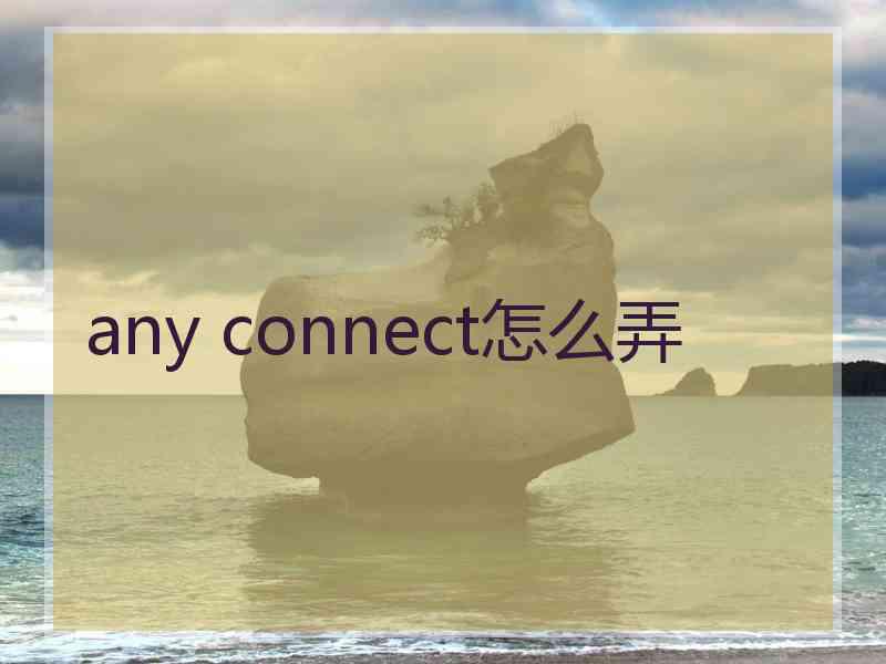 any connect怎么弄