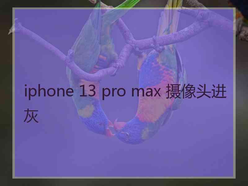 iphone 13 pro max 摄像头进灰