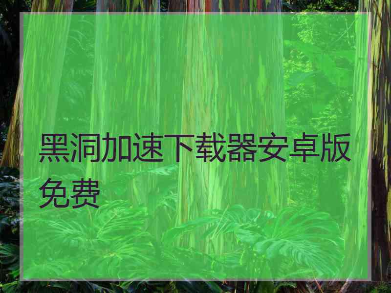 黑洞加速下载器安卓版免费