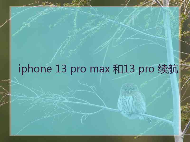 iphone 13 pro max 和13 pro 续航