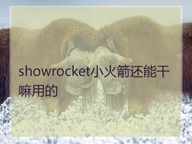 showrocket小火箭还能干嘛用的