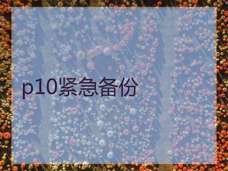 p10紧急备份