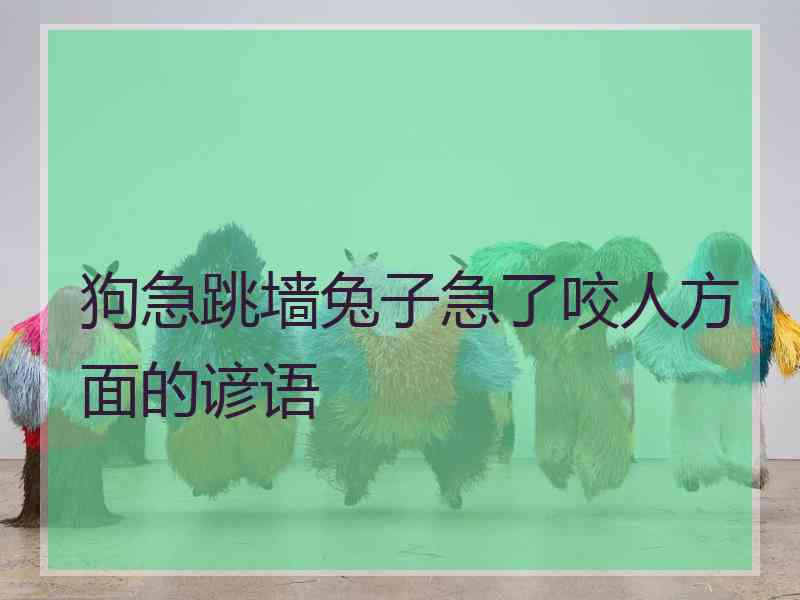 狗急跳墙兔子急了咬人方面的谚语