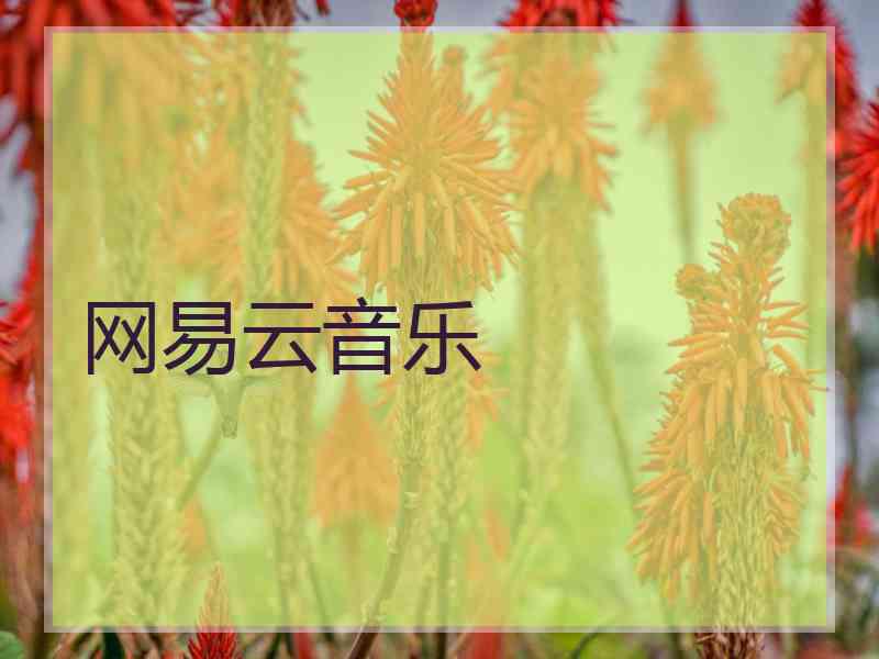 网易云音乐