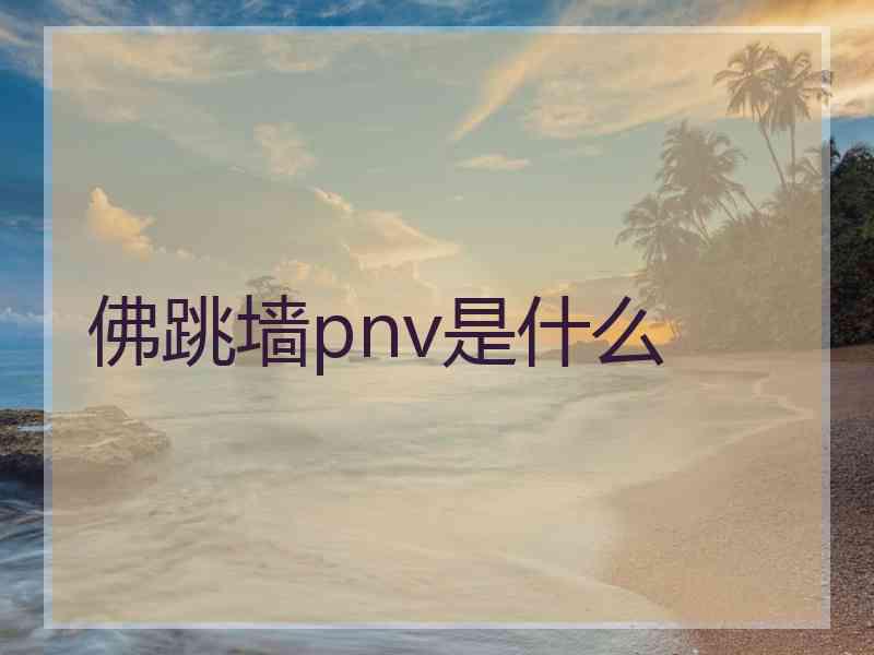 佛跳墙pnv是什么