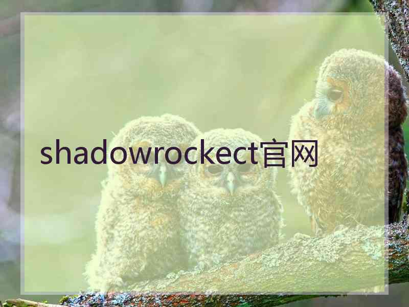 shadowrockect官网