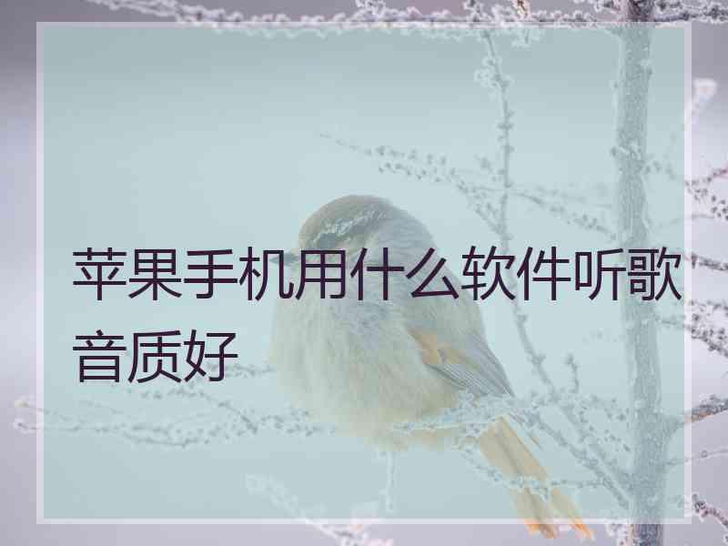 苹果手机用什么软件听歌音质好