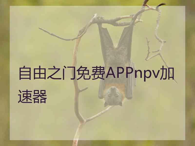 自由之门免费APPnpv加速器