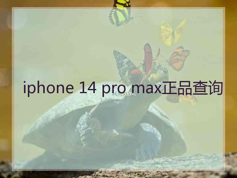 iphone 14 pro max正品查询