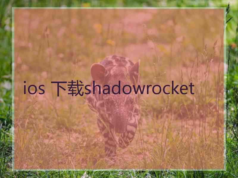 ios 下载shadowrocket