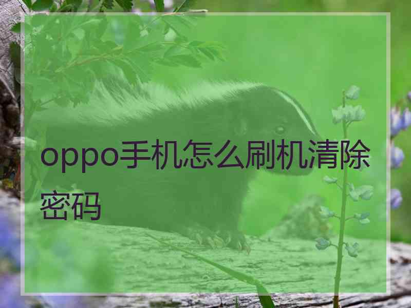 oppo手机怎么刷机清除密码