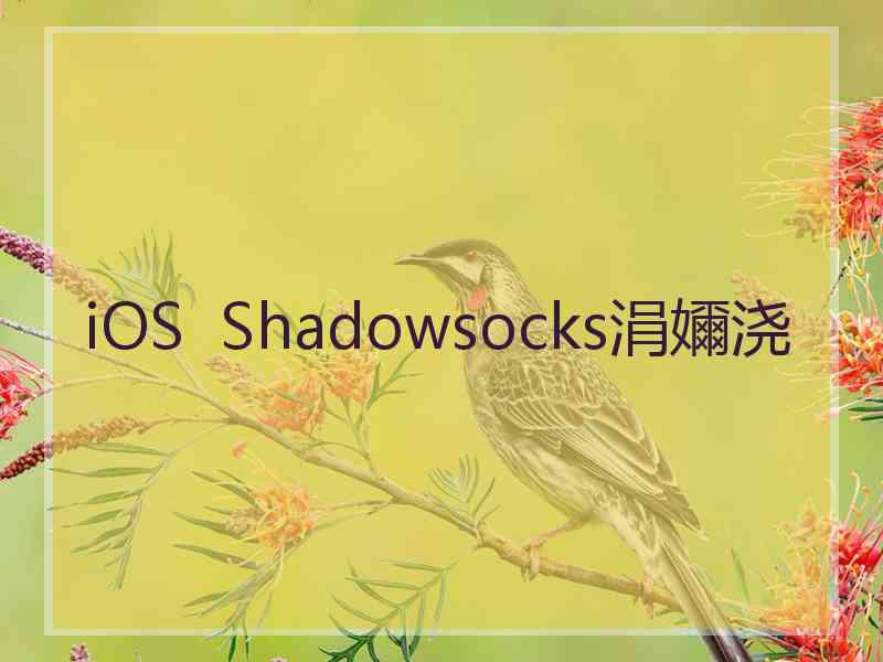 iOS  Shadowsocks涓嬭浇