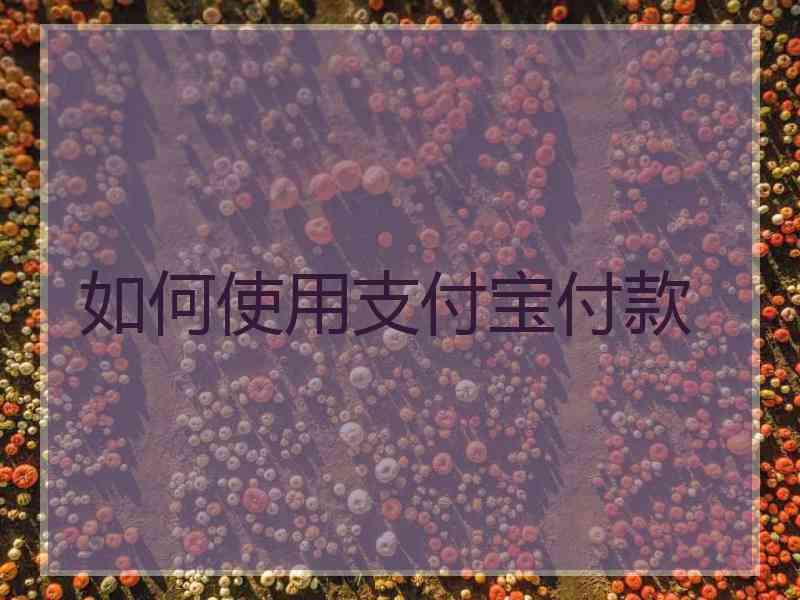 如何使用支付宝付款