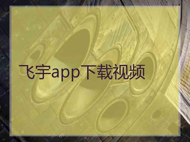 飞宇app下载视频