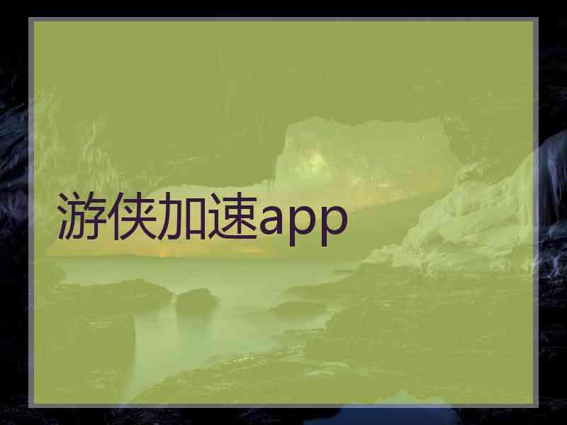 游侠加速app