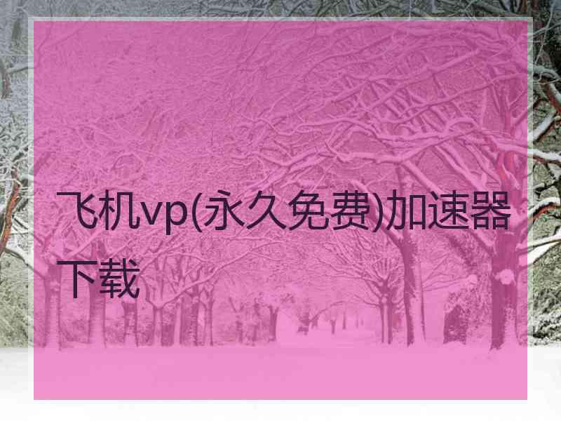 飞机vp(永久免费)加速器下载