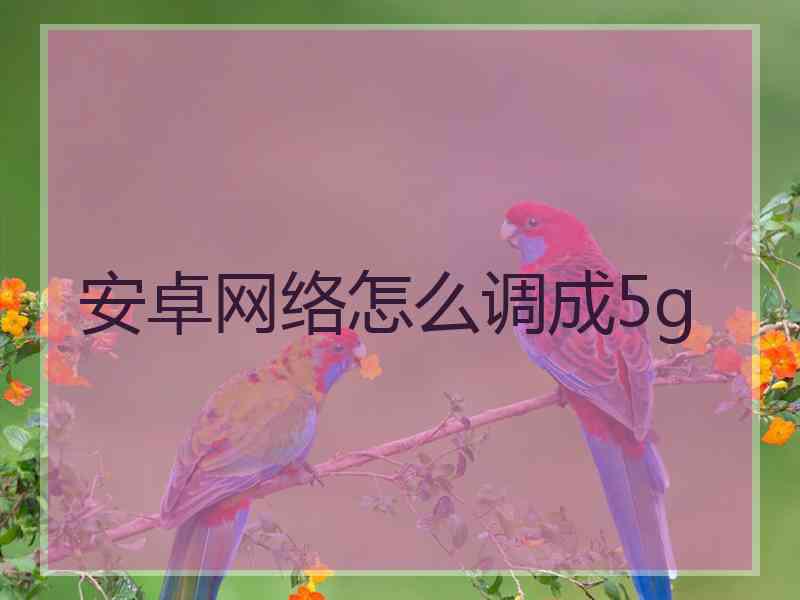 安卓网络怎么调成5g