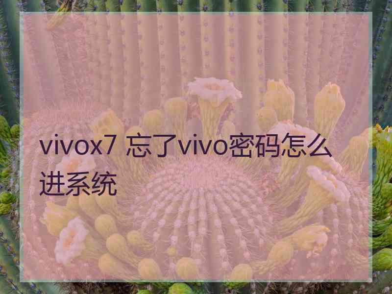 vivox7 忘了vivo密码怎么进系统