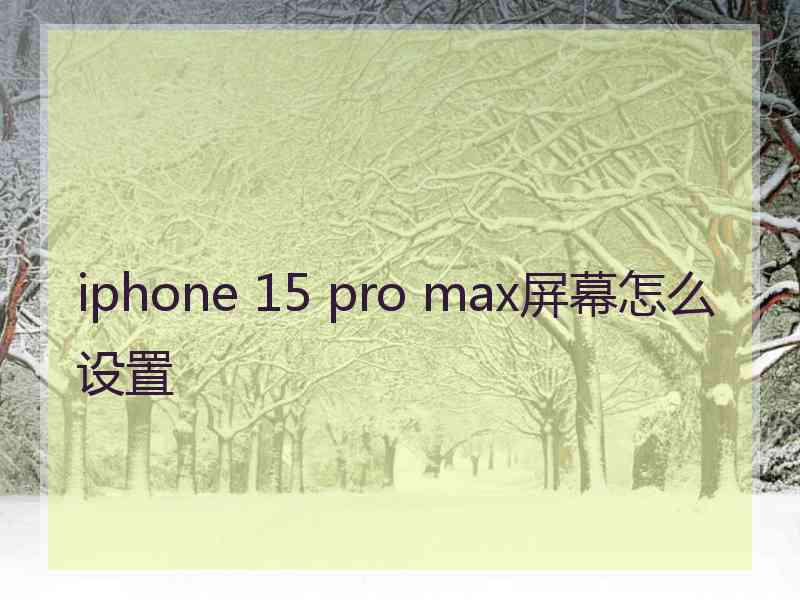 iphone 15 pro max屏幕怎么设置