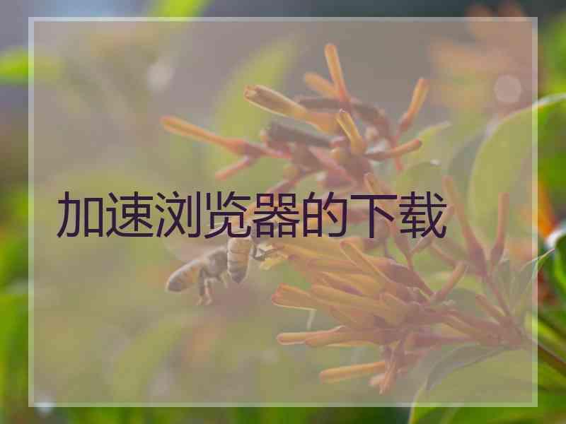 加速浏览器的下载