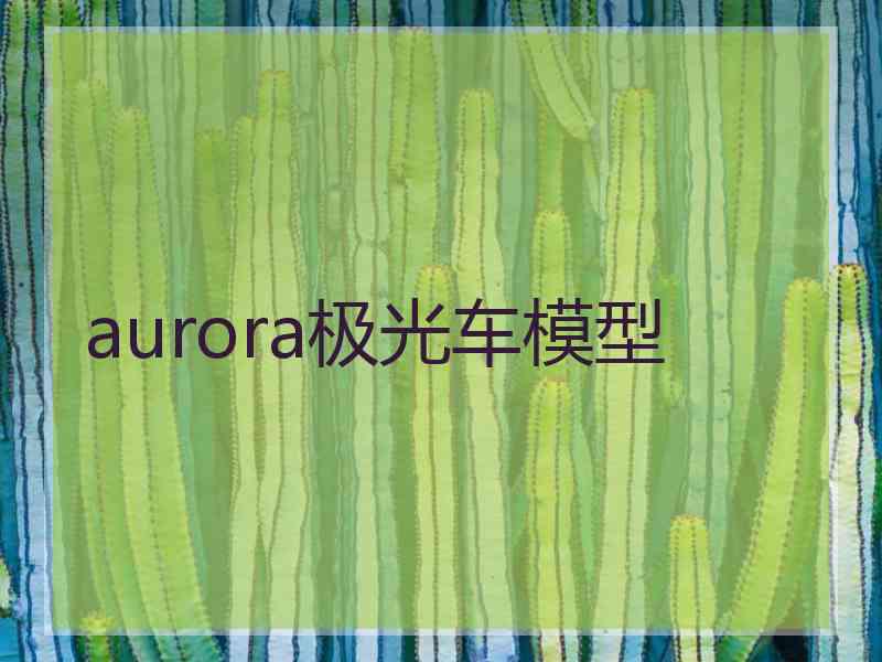 aurora极光车模型