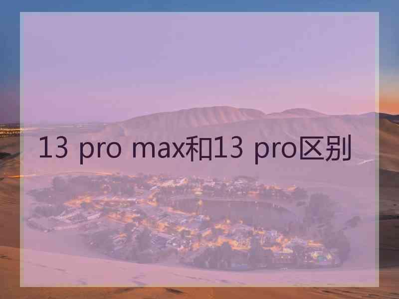 13 pro max和13 pro区别