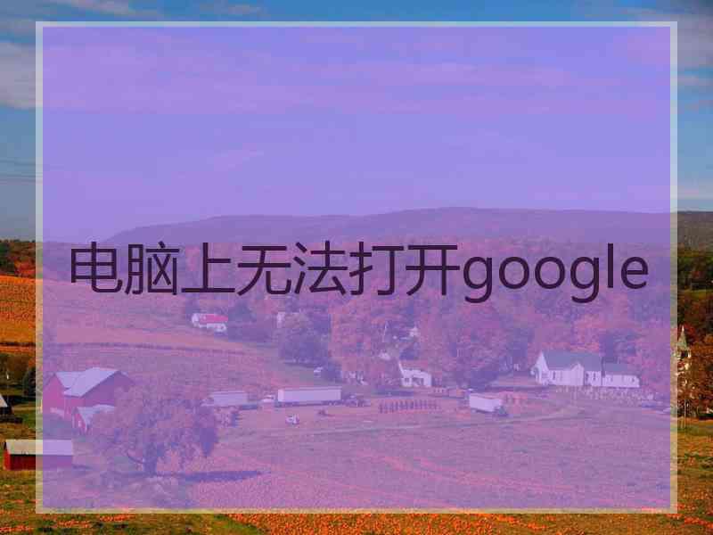 电脑上无法打开google