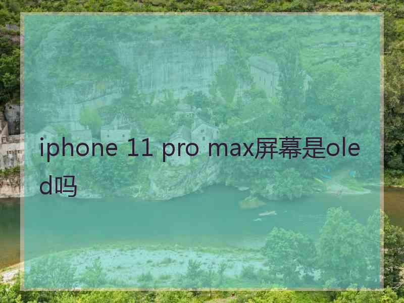 iphone 11 pro max屏幕是oled吗