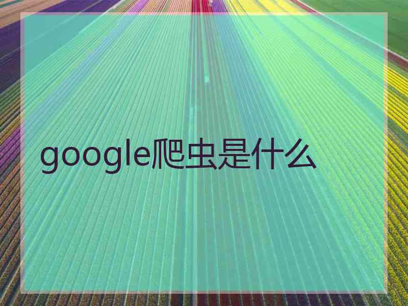 google爬虫是什么