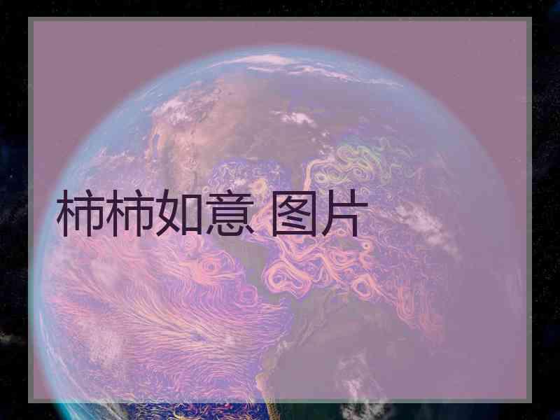 柿柿如意 图片