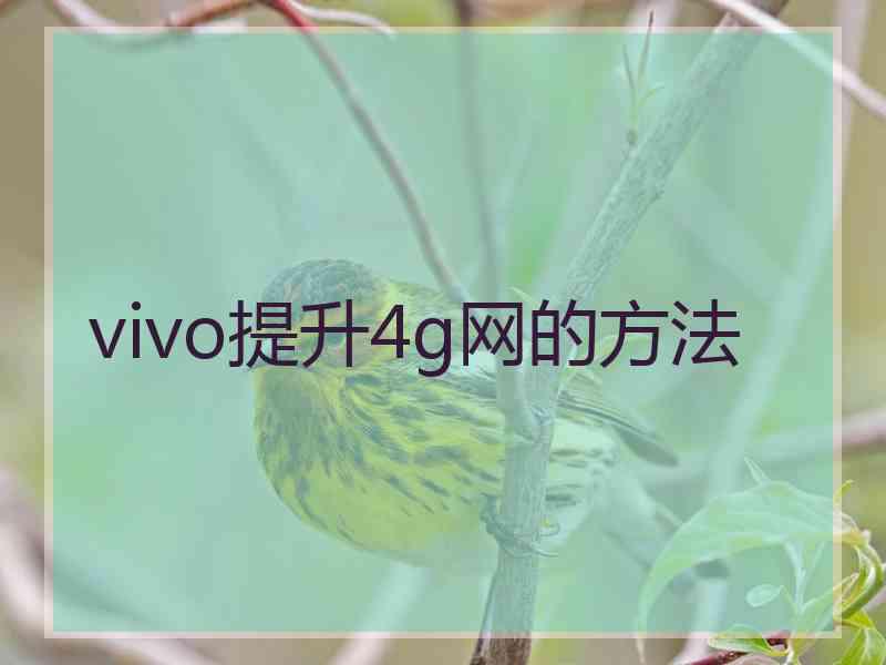 vivo提升4g网的方法