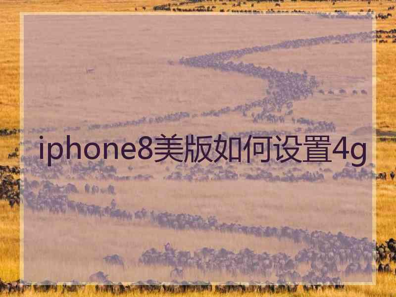 iphone8美版如何设置4g