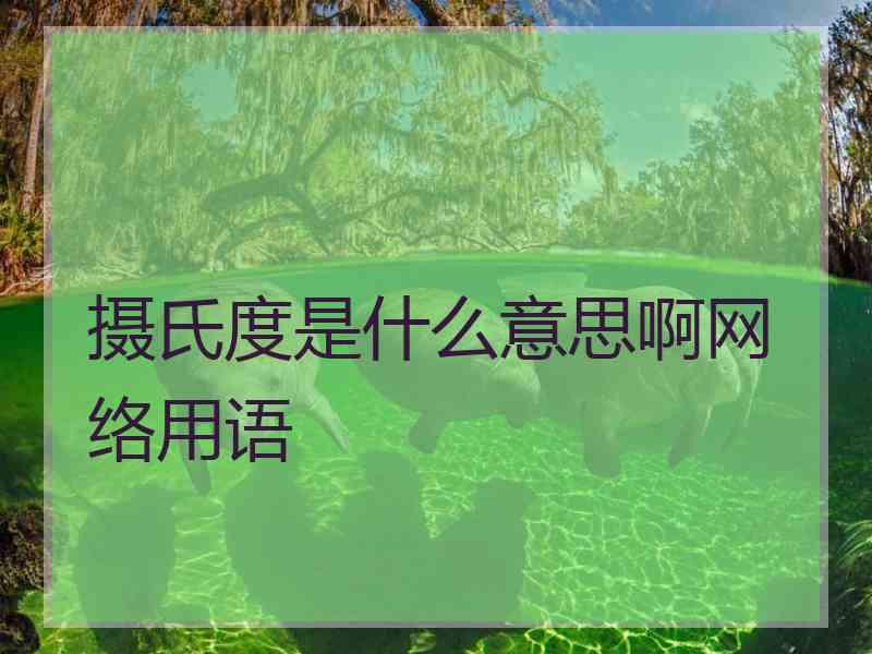 摄氏度是什么意思啊网络用语