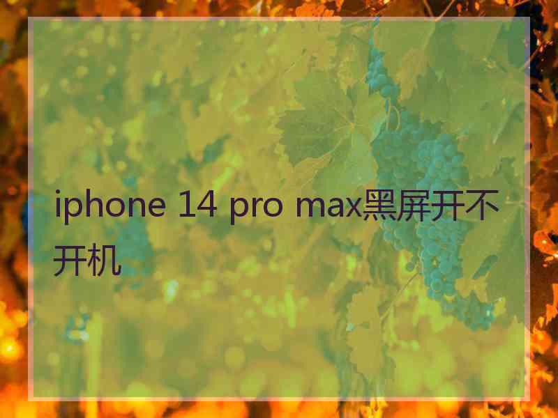 iphone 14 pro max黑屏开不开机