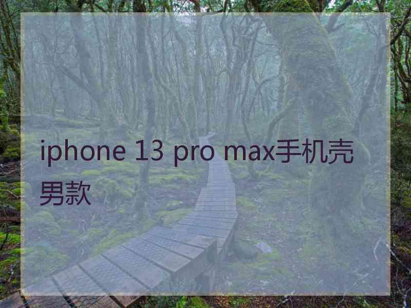 iphone 13 pro max手机壳男款