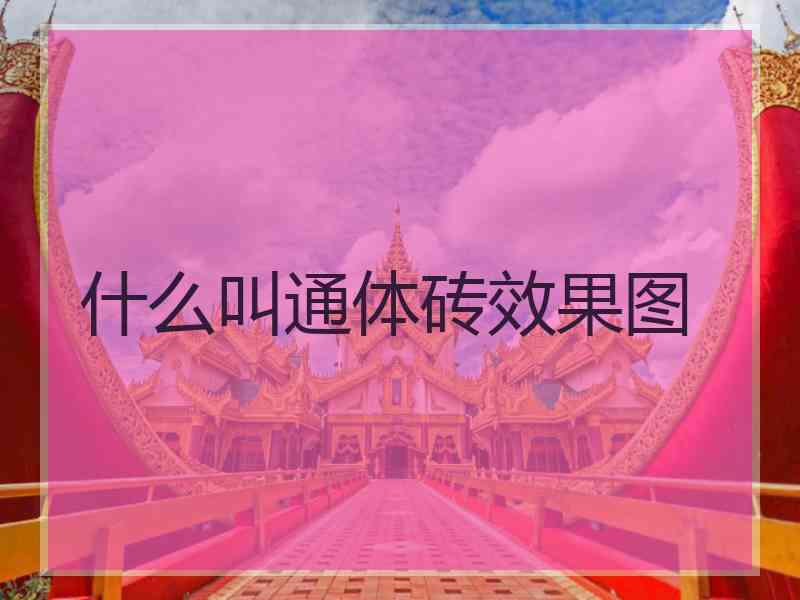 什么叫通体砖效果图