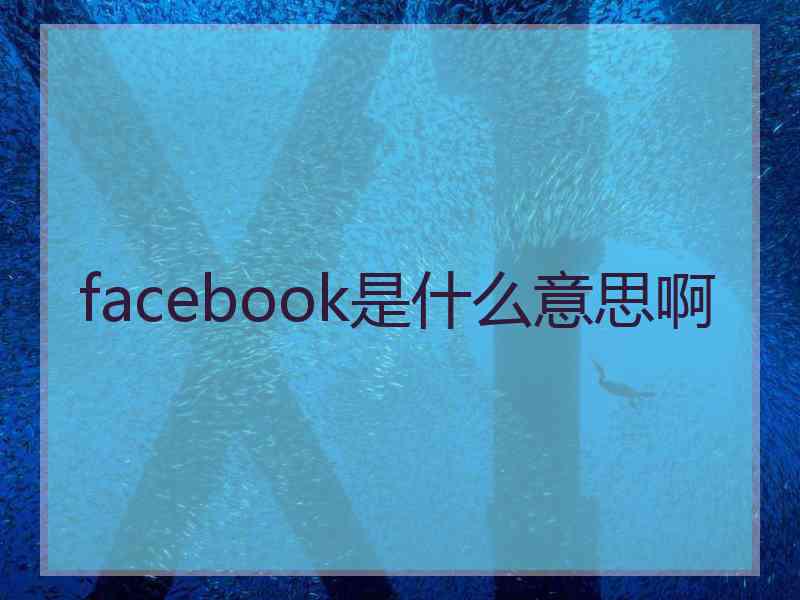 facebook是什么意思啊