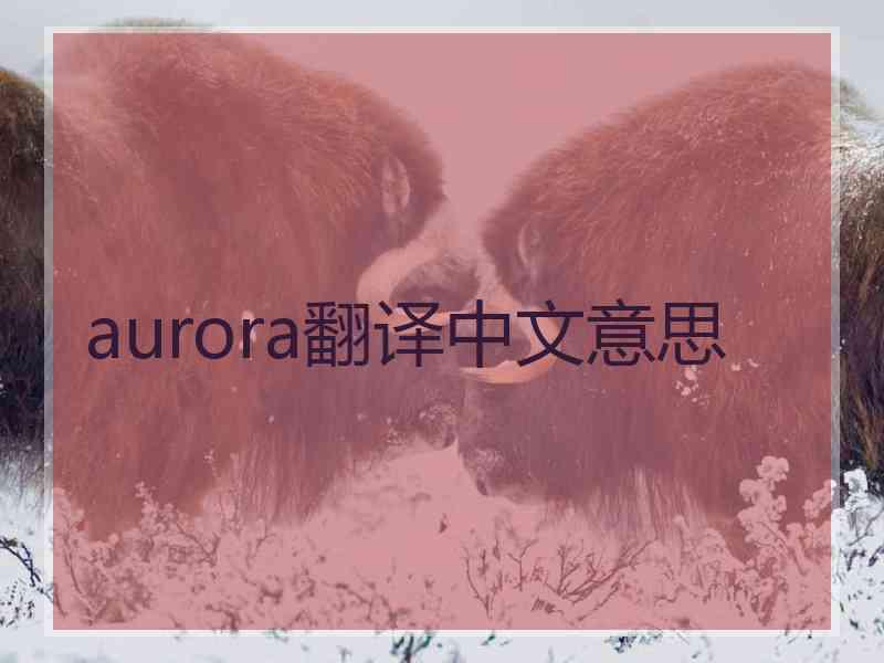 aurora翻译中文意思