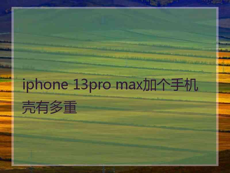 iphone 13pro max加个手机壳有多重