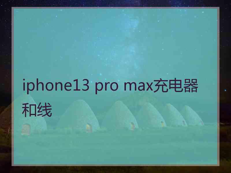 iphone13 pro max充电器和线