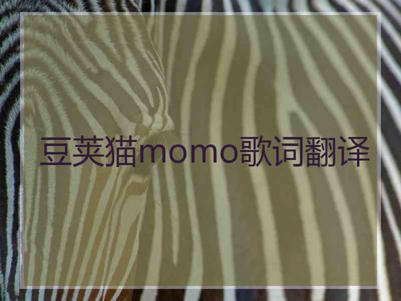 豆荚猫momo歌词翻译