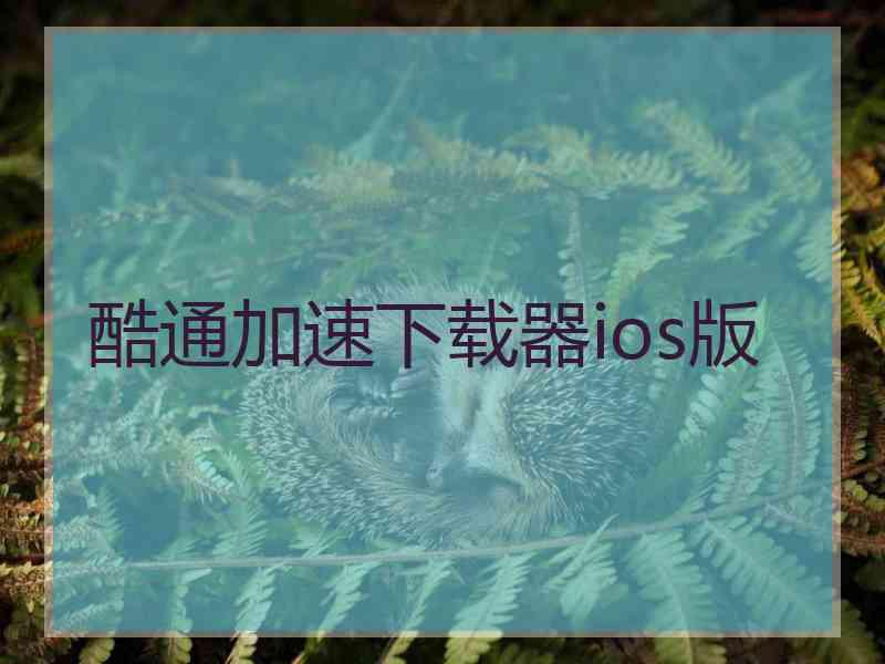 酷通加速下载器ios版