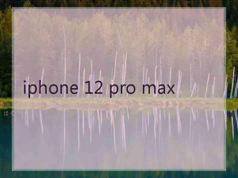 iphone 12 pro max