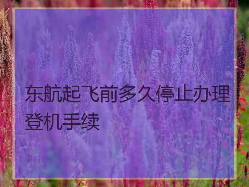 东航起飞前多久停止办理登机手续