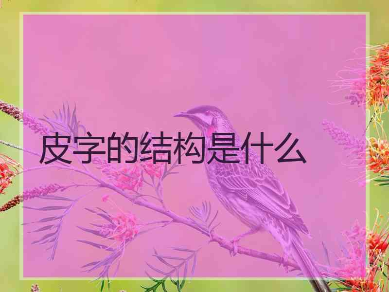 皮字的结构是什么