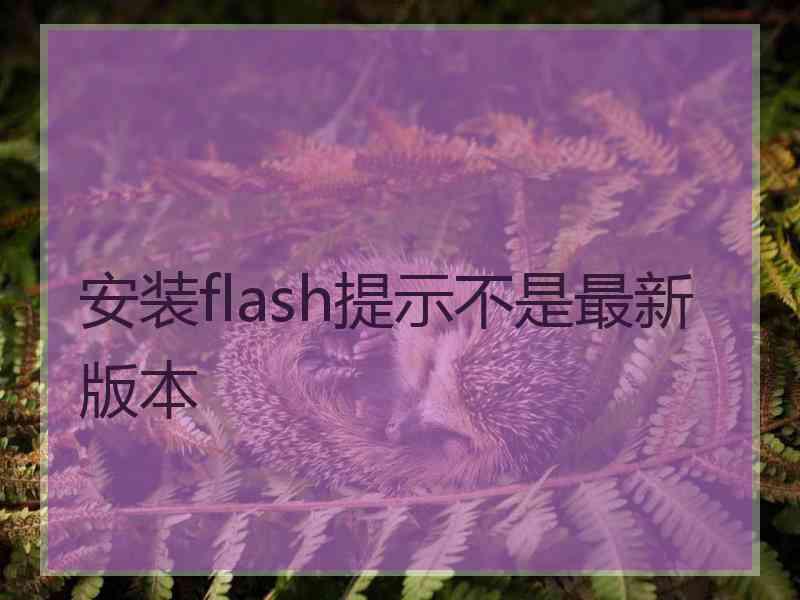 安装flash提示不是最新版本