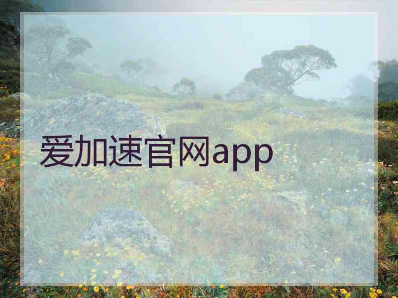 爱加速官网app