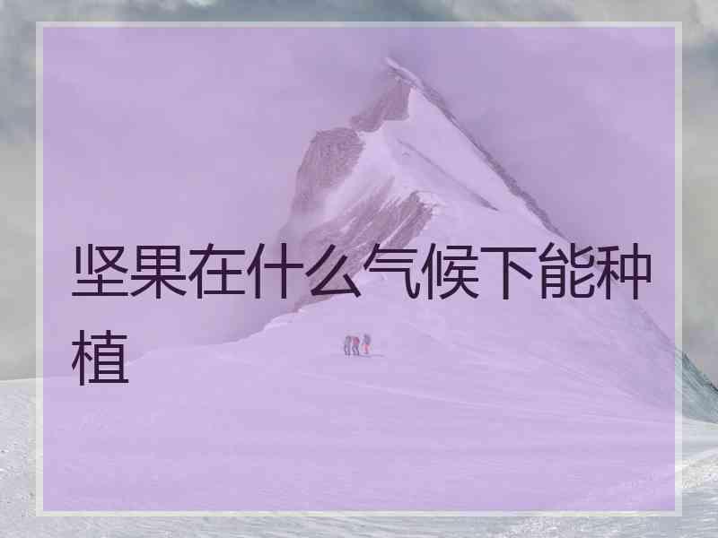 坚果在什么气候下能种植