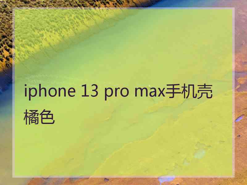 iphone 13 pro max手机壳橘色