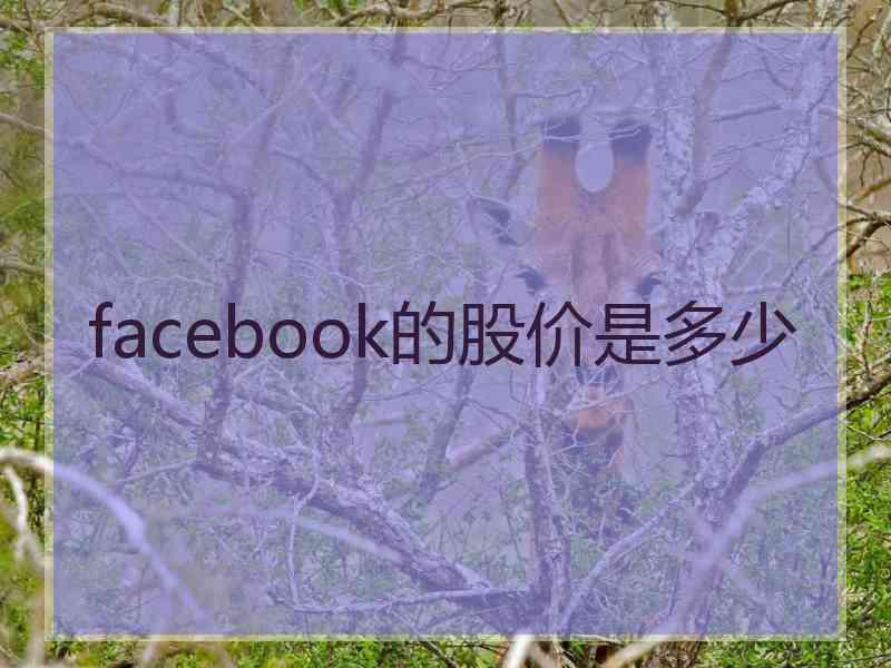 facebook的股价是多少